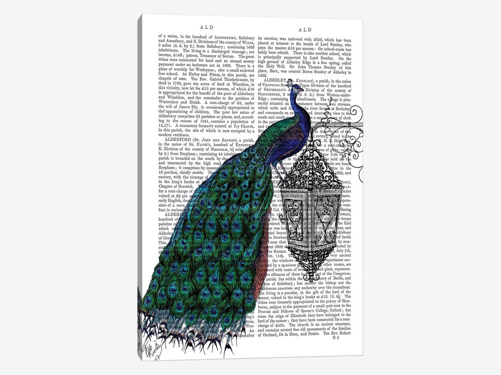 Peacock On Lamp by Fab Funky 1-piece Canvas Art Print