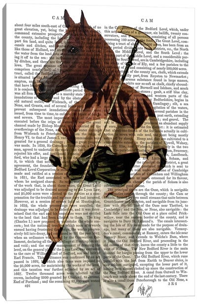 Polo Horse, Print BG Canvas Art Print - Fab Funky