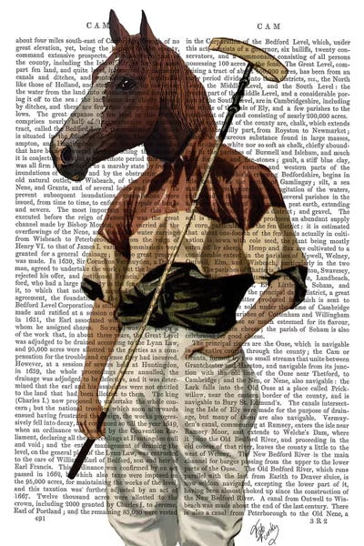 Polo Horse, Print BG