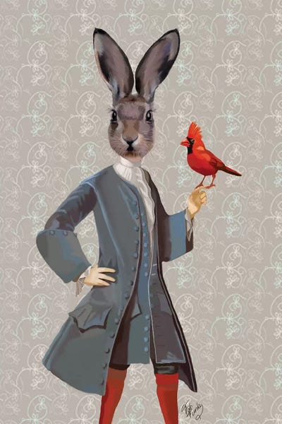 Costumes: Rabbit & Bird by Fab Funky
