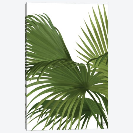 Another Fan Palm II Canvas Print #FNK124} by Fab Funky Canvas Artwork