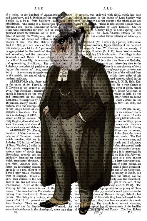 Schnauzer Lawyer, Print BG by Fab Funky wall art