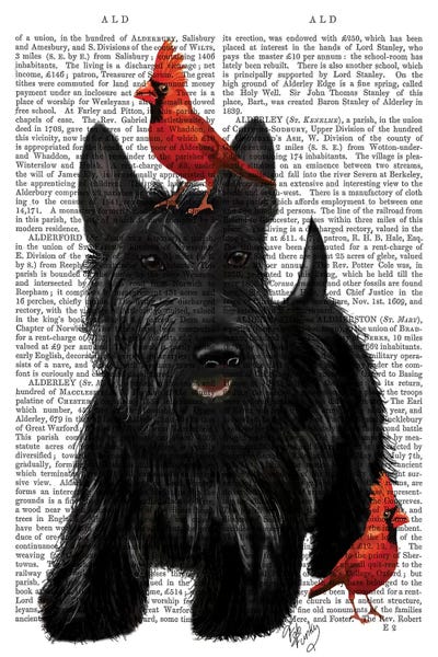 Scottish Terrier & Birds