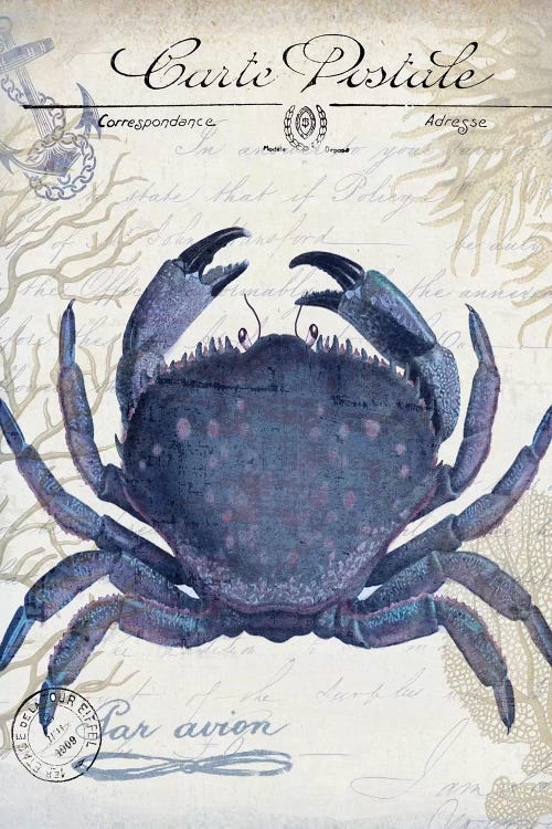 Seaside Postcard On Cream: Crab