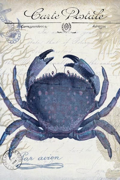 Seaside Postcard On Cream: Crab