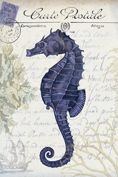 Seaside Postcard On Cream: Seahorse