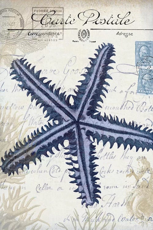 Seaside Postcard On Cream: Starfish