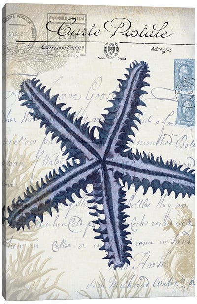 Seaside Postcard On Cream: Starfish Canvas Art Print - Fab Funky