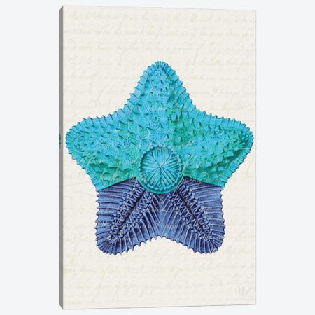Starfish In Shades Of Blue II Canvas Print #FNK1277} by Fab Funky Art Print
