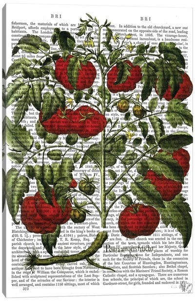 Tomato Plant Canvas Art Print - Ivy & Vines