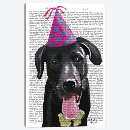 Black Labrador With Party Hat Canvas Print #FNK1327} by Fab Funky Canvas Print