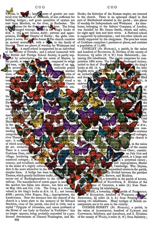 Butterfly Heart