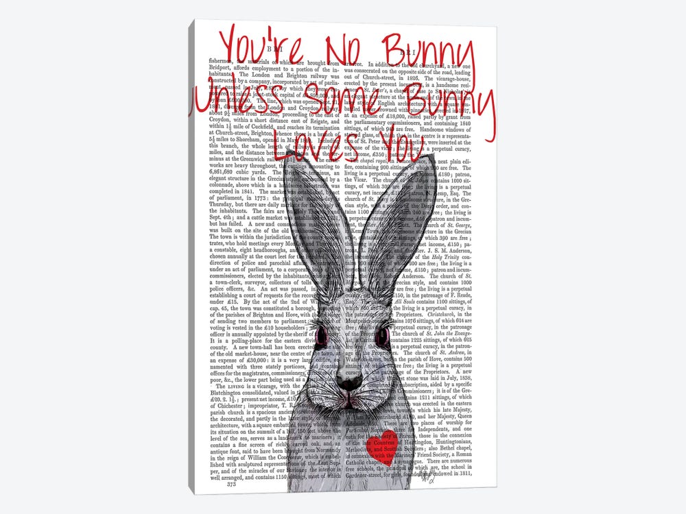 You're No Bunny by Fab Funky 1-piece Canvas Wall Art