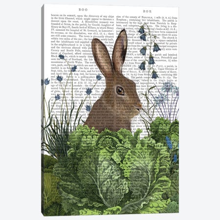 Cabbage Patch Rabbit II, With Text Canvas Print #FNK1347} by Fab Funky Art Print