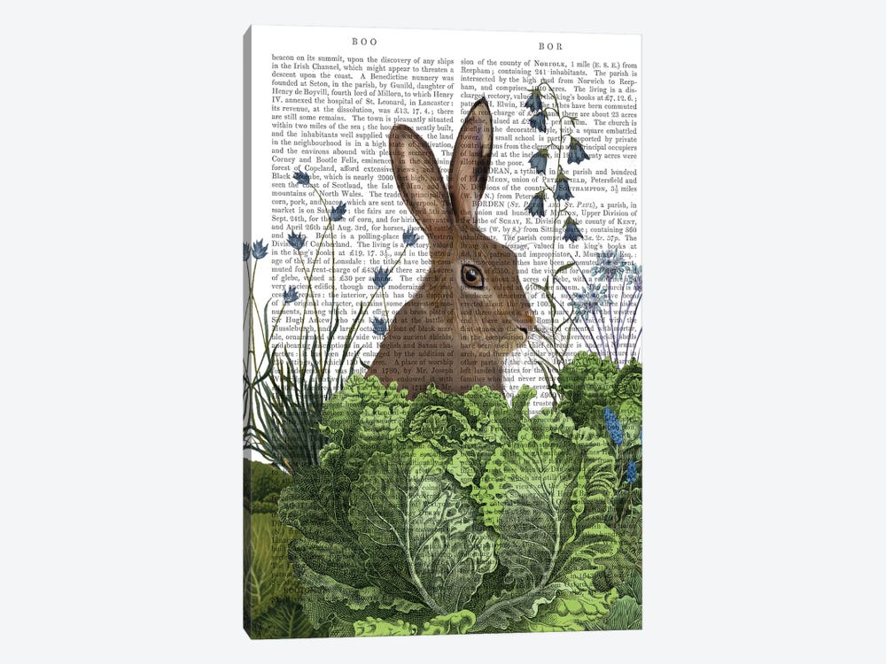 Cabbage Patch Rabbit II, With Text by Fab Funky 1-piece Canvas Wall Art