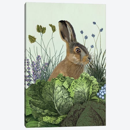 Cabbage Patch Rabbit III Canvas Print #FNK1348} by Fab Funky Canvas Art