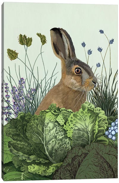 Cabbage Patch Rabbit III Canvas Art Print - Rabbit Art