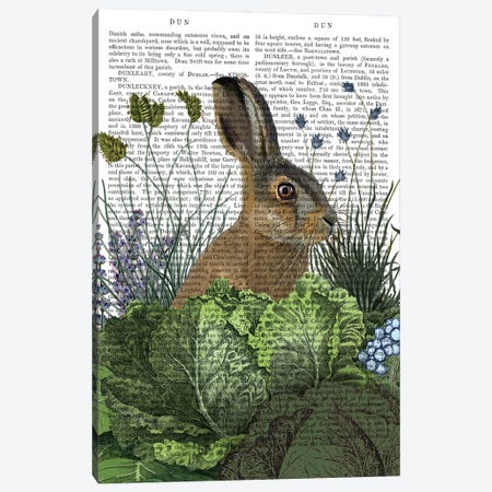 Cabbage Patch Rabbit III, With Text Canvas Print #FNK1349} by Fab Funky Canvas Artwork