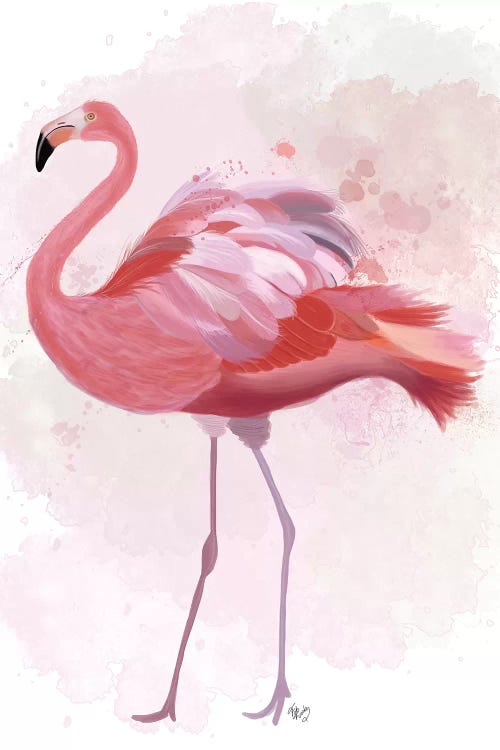Fluffy Flamingo 1