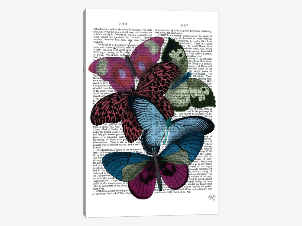Big Bold Butterflies I 1-piece Canvas Print