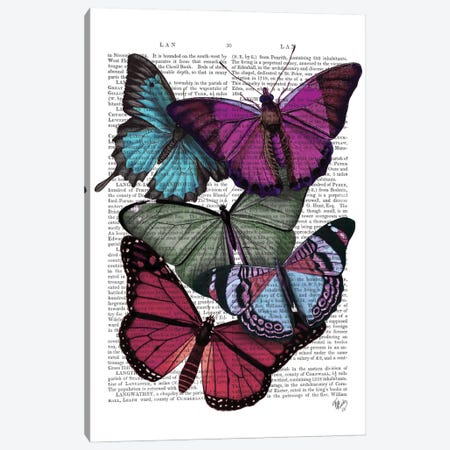 Big Bold Butterflies III Canvas Print #FNK144} by Fab Funky Canvas Artwork