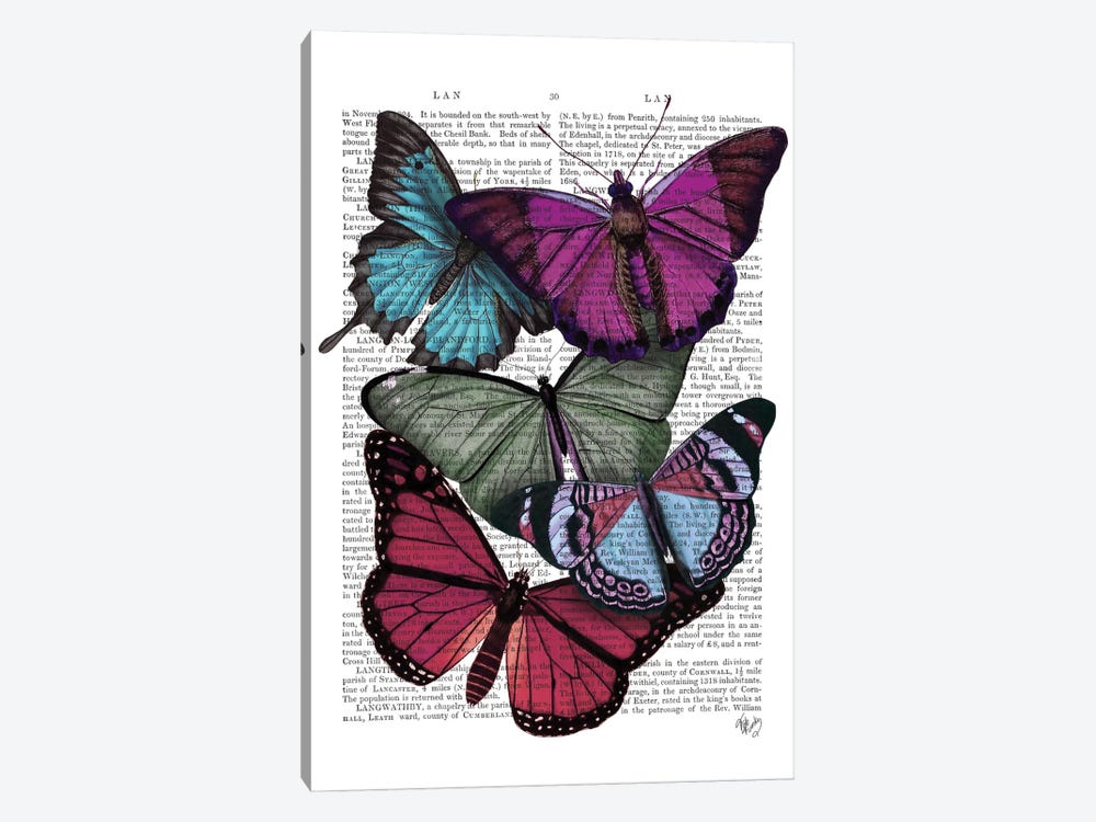 Big Bold Butterflies III 1-piece Canvas Print