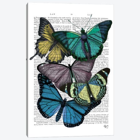Big Bold Butterflies IV Canvas Print #FNK145} by Fab Funky Canvas Artwork