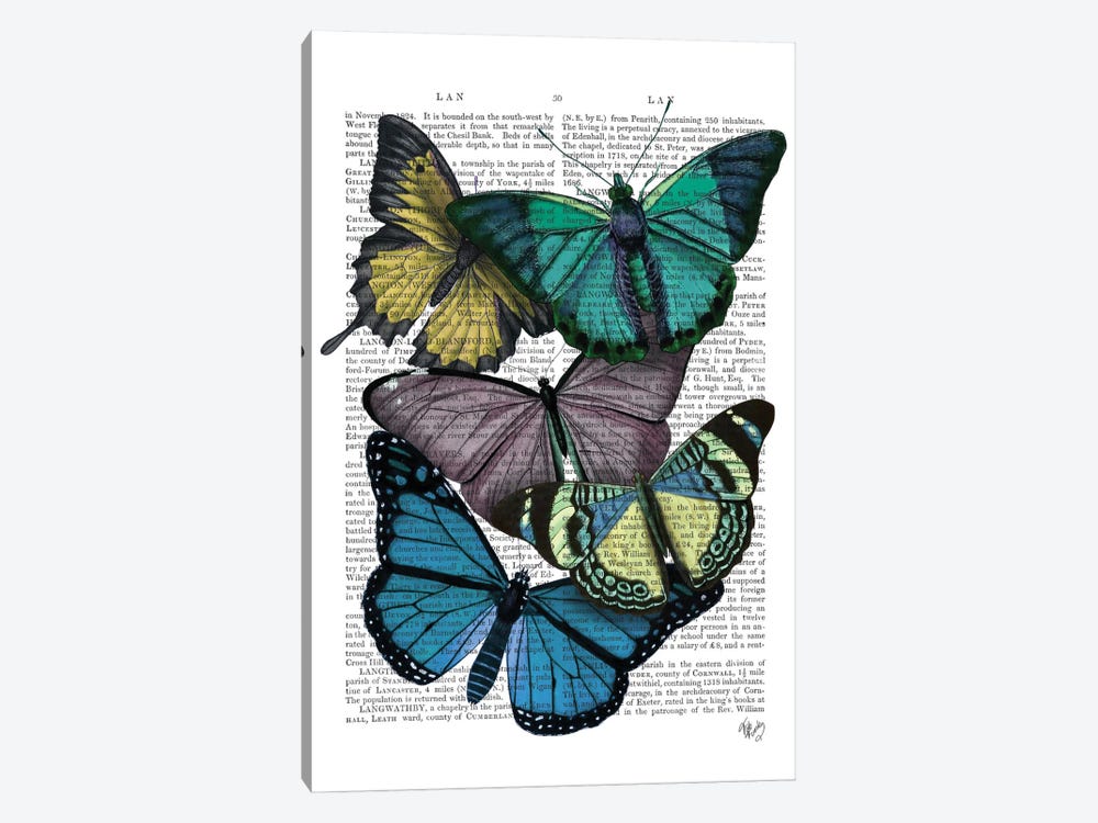 Big Bold Butterflies IV by Fab Funky 1-piece Canvas Art