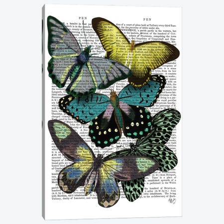 Big Bold Butterflies VI Canvas Print #FNK147} by Fab Funky Canvas Art