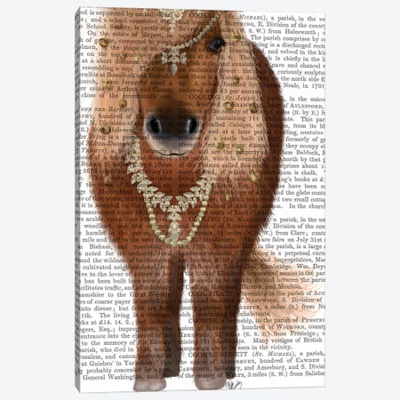 Horse Brown Pony with Bells, Full II Canvas Print #FNK1504} by Fab Funky Canvas Print