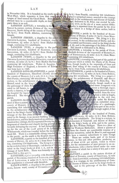 Ostrich and Pearls, Full II Canvas Art Print - Ostrich Art