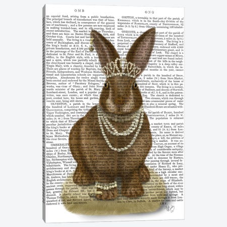 Rabbit and Pearls, Full II Canvas Print #FNK1534} by Fab Funky Canvas Wall Art