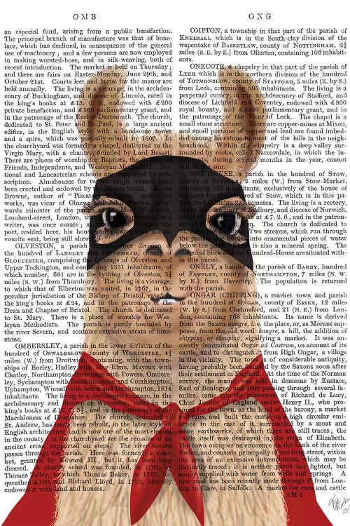 Super Llama