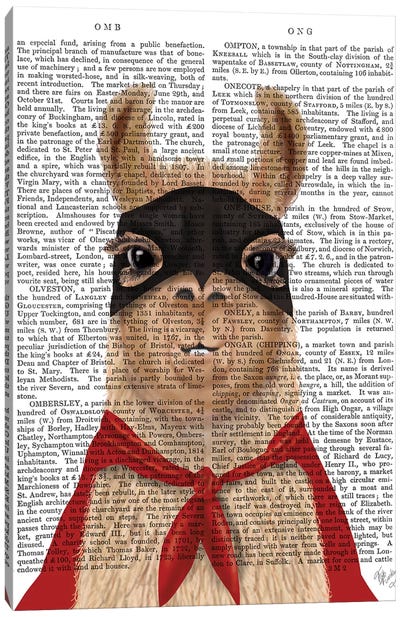 Super Llama Canvas Art Print - Fab Funky