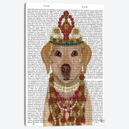 Yellow Labrador and Tiara, Portrait II Canvas Print #FNK1555} by Fab Funky Canvas Artwork