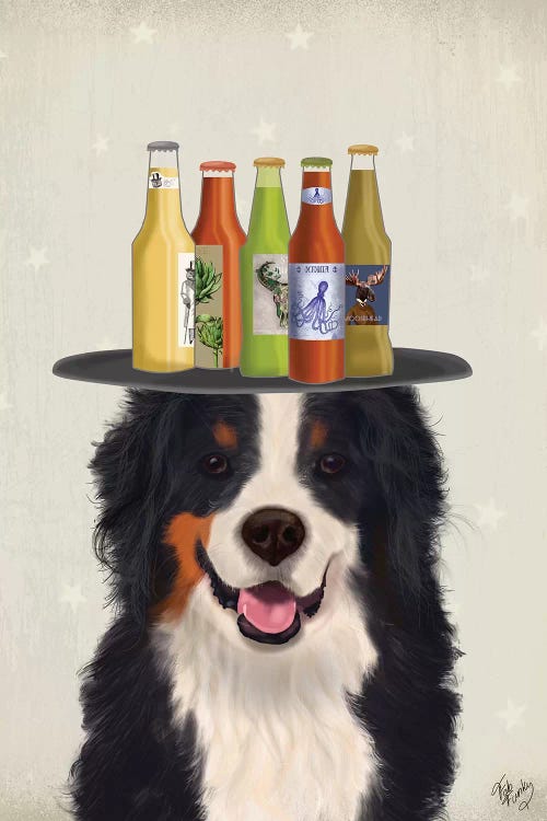 Bernese Beer Lover