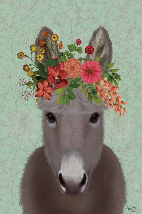 Donkey Bohemian 4