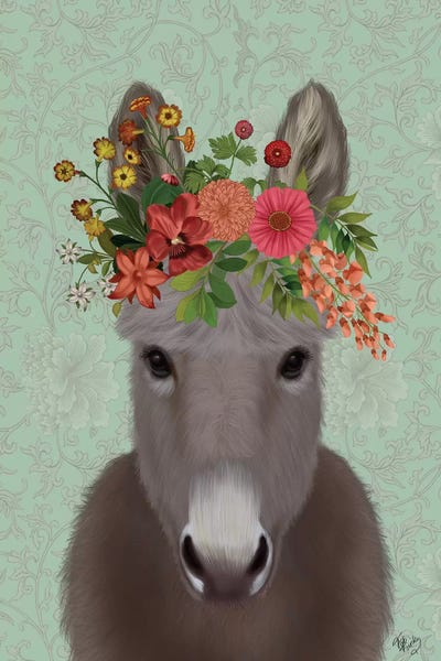 Donkey Bohemian 4