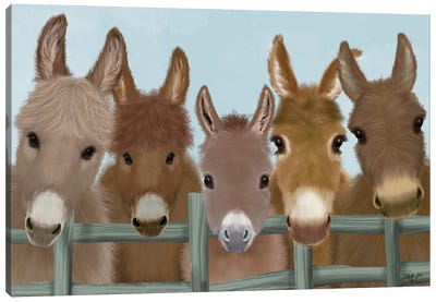 Donkey Herd at Fence Canvas Art Print