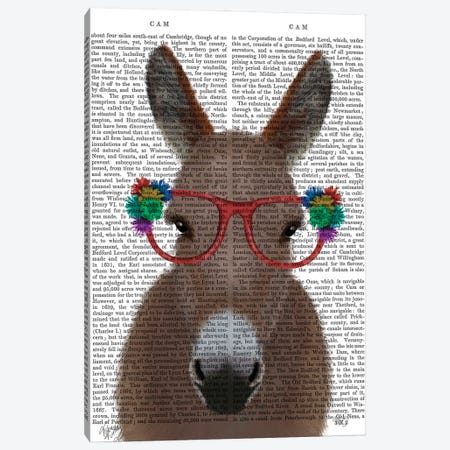 Donkey Red Flower Glasses Book Print Canvas Print #FNK1684} by Fab Funky Canvas Art