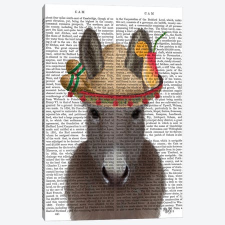 Donkey Sombrero Book Print Canvas Print #FNK1686} by Fab Funky Canvas Art