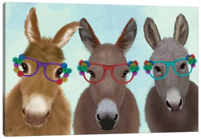 Donkey Trio Flower Glasses Canvas Art Print