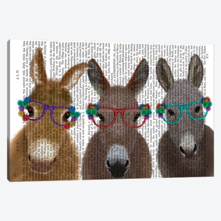 Donkey Trio Flower Glasses Book Print Canvas Print #FNK1692} by Fab Funky Canvas Artwork