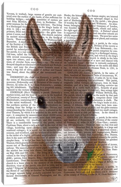 Donkey Yellow Flower Book Print Canvas Art Print - Donkey Art