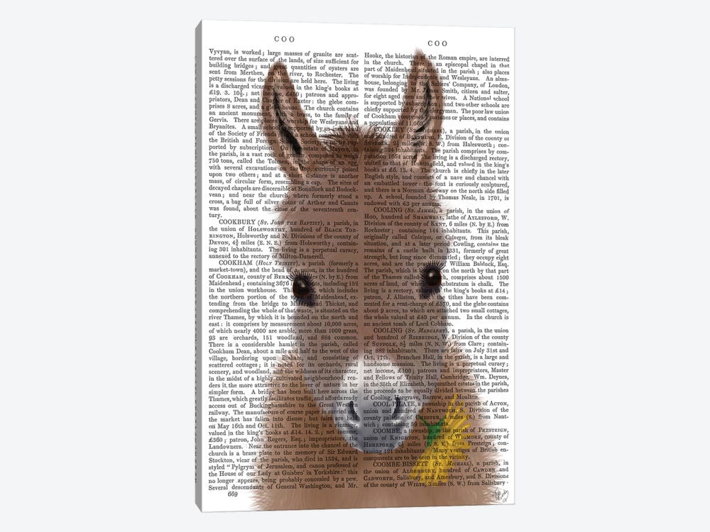 Donkey Yellow Flower Book Print by Fab Funky 1-piece Canvas Artwork