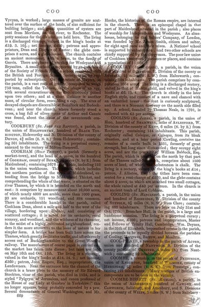 Donkey Yellow Flower Book Print