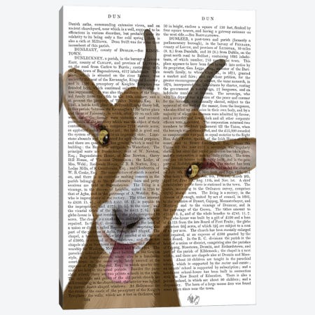 Funny Farm Goat 3 Book Print Canvas Print #FNK1716} by Fab Funky Canvas Artwork