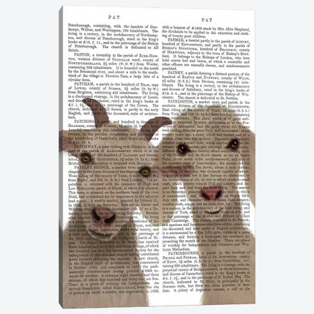 Goat Duo, Looking at You Book Print Canvas Print #FNK1734} by Fab Funky Canvas Wall Art