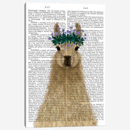 Llama Bohemian 1 Book Print Canvas Print #FNK1804} by Fab Funky Canvas Wall Art