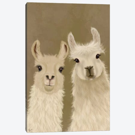 Llama Duo, Looking at You Canvas Print #FNK1814} by Fab Funky Canvas Print